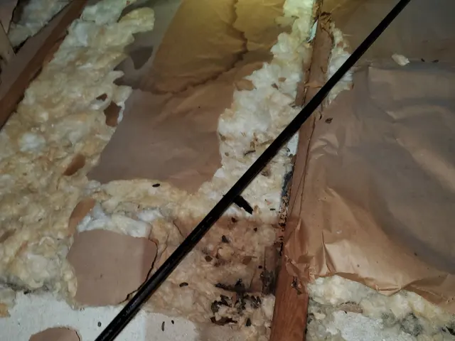 Bt Cocoです！見積り無料です！奈良　京都即対応◎豊富な経験と知識で安心！サービスの画像