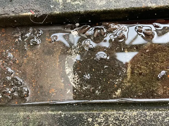 ★★★★★★雨樋清掃工事★★★★★★サービスの画像