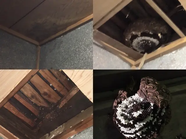 《施工実績1000件/年》有料P代当店負担◎近所の方に配慮して作業します！サービスの画像