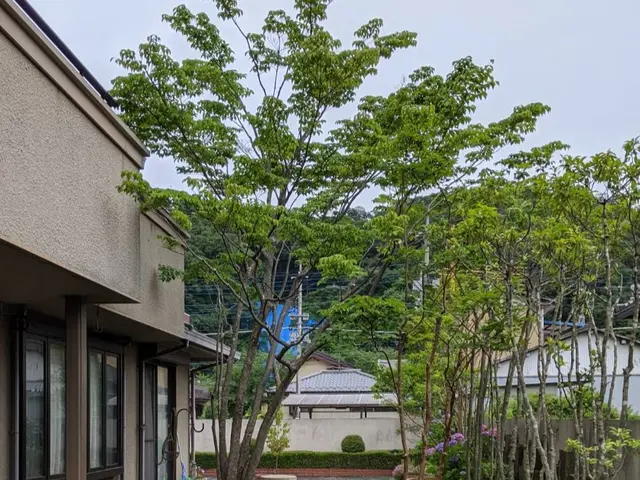 【女性スタッフ指定OK】年中無休で駆けつけます！営業時間外もご相談ください。サービスの画像