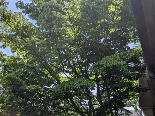 【女性スタッフ指定OK】年中無休で駆けつけます！営業時間外もご相談ください。サービスの画像