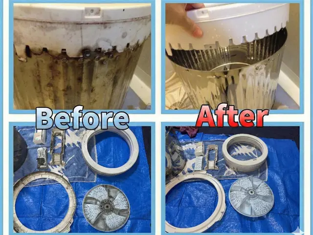 【分解徹底＆損害保険加入】縦型洗濯機 洗濯槽クリーニング｜黒カビ・臭い根本除去サービスの画像