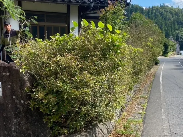 みどりのお手入れ屋さん◎お庭をきれいにします！！サービスの画像