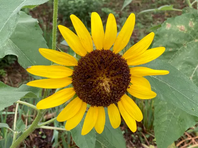 お写真でお見積もり可能！色々お悩み聞かせて下さい。サービスの画像