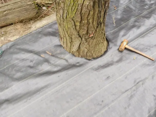 防草シート施工サービスの画像