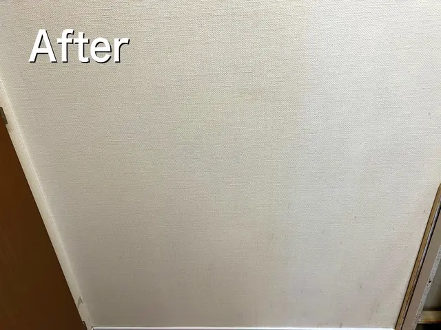 【3月出店】年間50件以上の実績！プロの技で隅々まで美しくサービスの画像