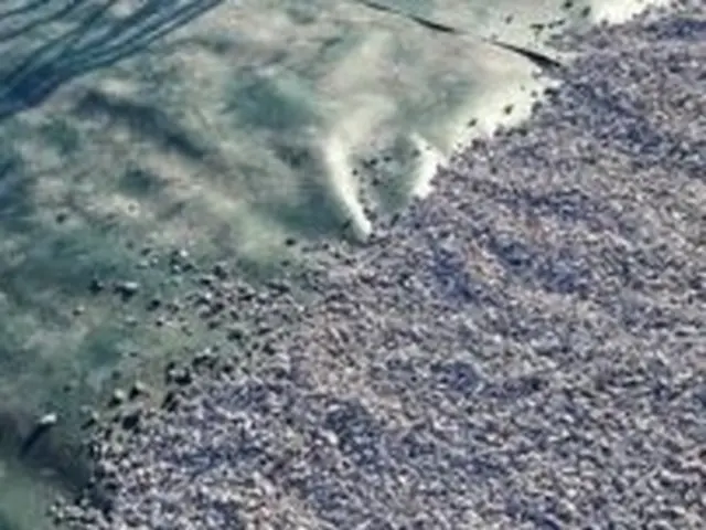 【業歴20年！】お客様との絆を大切に、どのようなご相談にも誠実にお応えします。サービスの画像