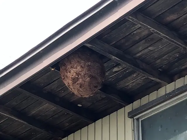 【年中無休】即日24時間対応◎ 【宮城県内No.１低価格保証】仙台市強化割引有サービスの画像