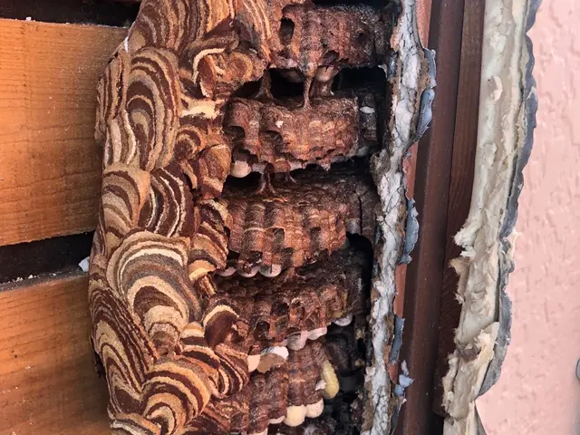 【年中無休】即日24時間対応◎ 【宮城県内No.１低価格保証】仙台市強化割引有サービスの画像