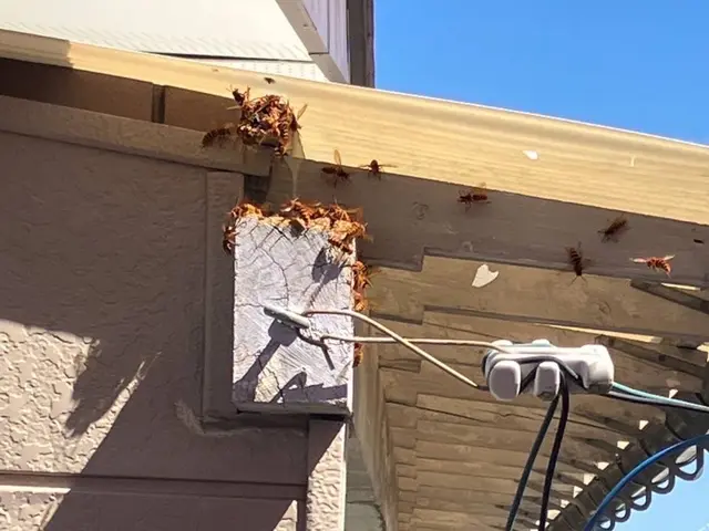 【年中無休】即日24時間対応◎ 【宮城県内No.１低価格保証】仙台市強化割引有サービスの画像