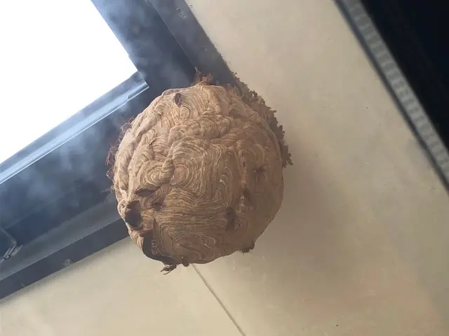 【年中無休】即日24時間対応◎ 【宮城県内No.１低価格保証】仙台市強化割引有サービスの画像