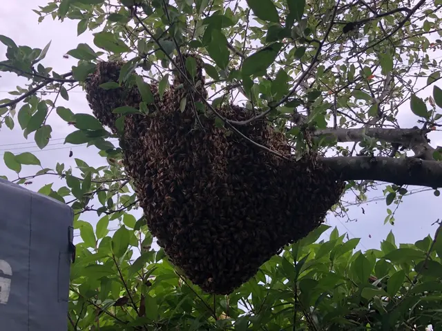 【年中無休】即日24時間対応◎ 【宮城県内No.１低価格保証】仙台市強化割引有サービスの画像