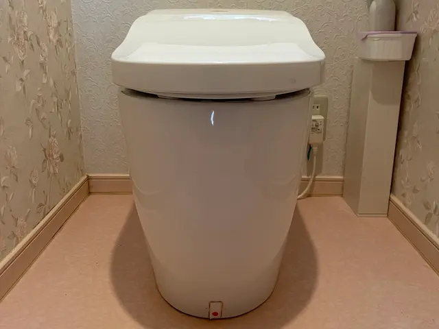 臭いの元は汚れにあり！見えないところまで本格トイレ洗浄！サービスの画像