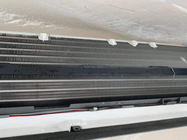 ★植物性除菌洗剤★複数台割引★駐車場代0円★各種クレカ、PayPay可★サービスの画像