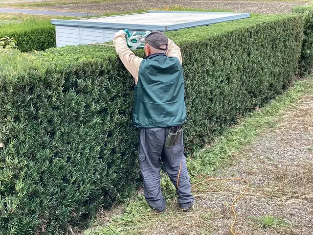 ★インボイス対応★女性スタッフも在籍！安心・丁寧な技術で庭を美しくサービスの画像