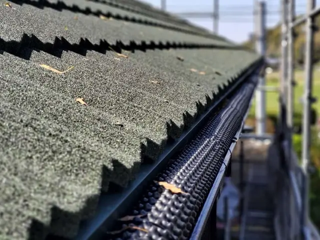 雨樋の落ち葉清掃、除けネット取付サービスの画像