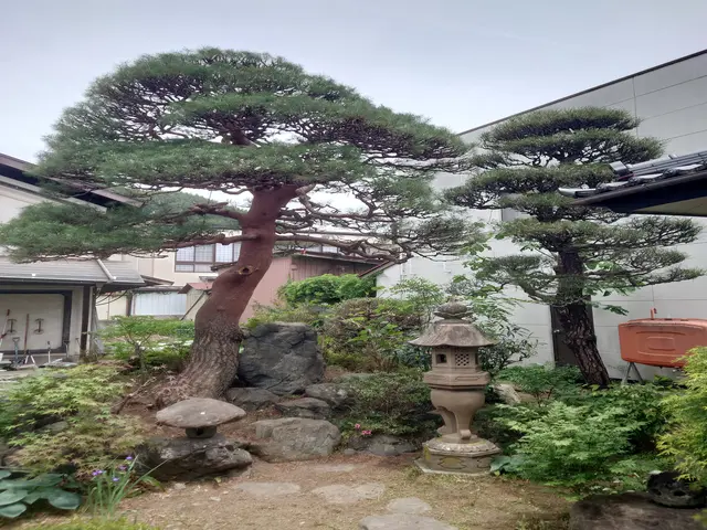 ★業界歴20年以上★作業実績は数百件★独立したばかりですが任せてみませんか!サービスの画像