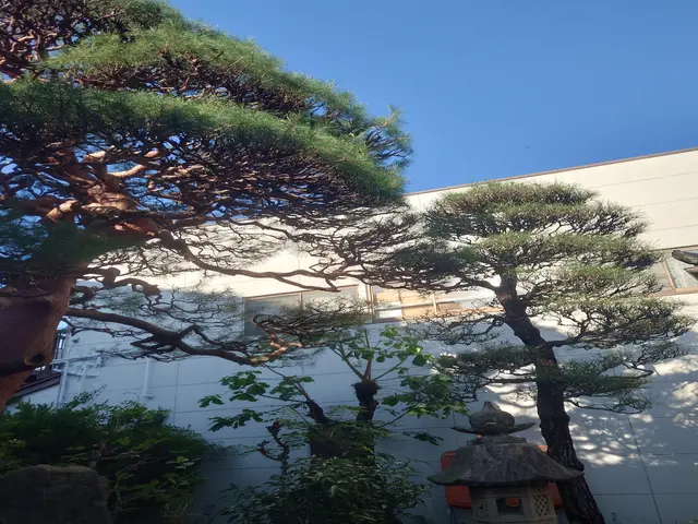 ★業界歴20年以上★作業実績は数百件★独立したばかりですが任せてみませんか!サービスの画像