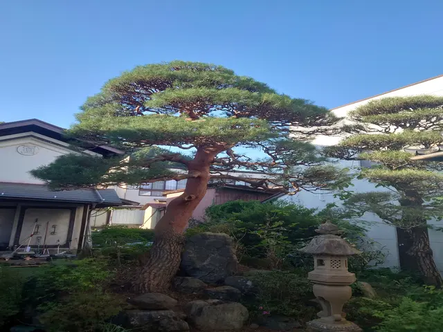 ★業界歴20年以上★作業実績は数百件★独立したばかりですが任せてみませんか!サービスの画像