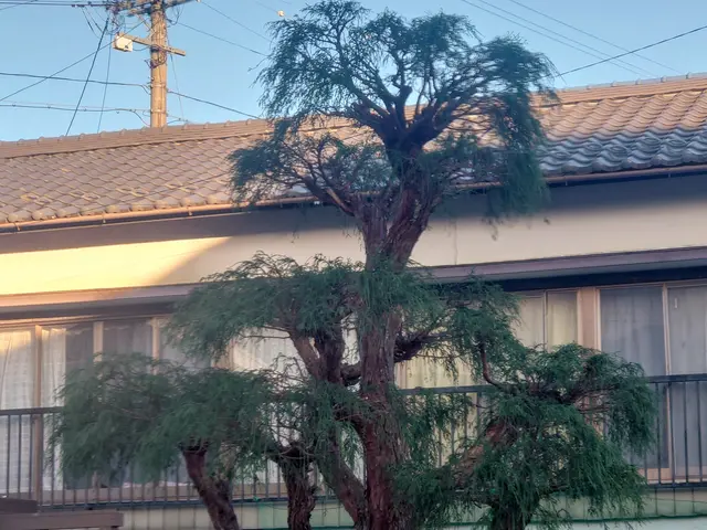 ★業界歴20年以上★作業実績は数百件★独立したばかりですが任せてみませんか!サービスの画像