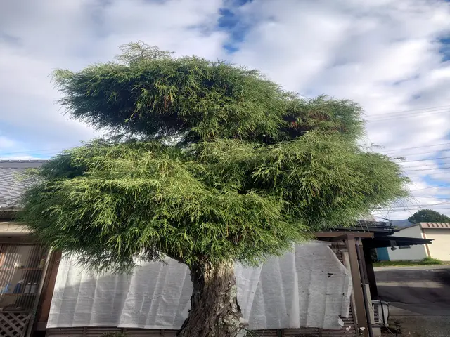 ★業界歴20年以上★作業実績は数百件★独立したばかりですが任せてみませんか!サービスの画像