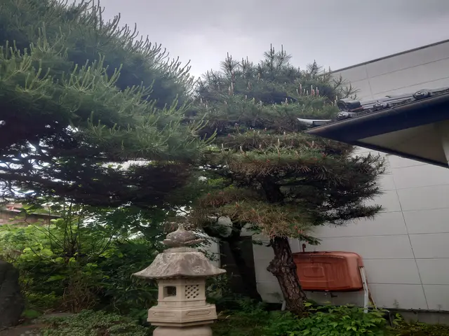 ★業界歴20年以上★作業実績は数百件★独立したばかりですが任せてみませんか!サービスの画像