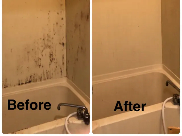 ＜リピーター続出！＞実績多数！福岡市発で、ご要望に合わせて誠心誠意取り組みます！サービスの画像