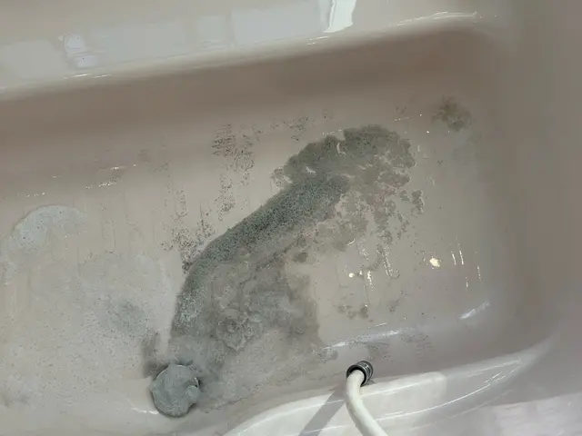 お客様感謝祭開催中！【お風呂クリーニング】【高圧洗浄機で綺麗】【セット割有】サービスの画像