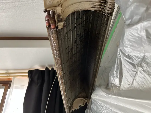 エアコン徹底洗浄で喘息、鼻炎、気管支炎予防・女性スタッフ同行可・損保加入済サービスの画像