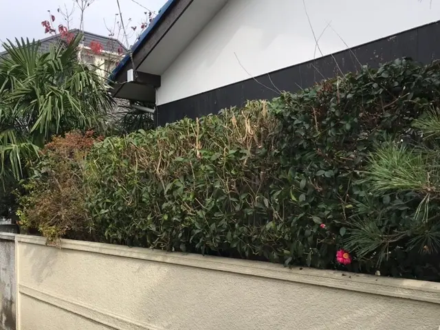 ＜年中無休＞東京都を中心に対応しております。ご要望・ご予算に合わせて丁寧に対応◎サービスの画像