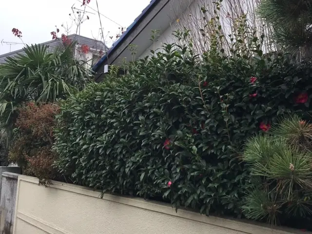 ＜年中無休＞東京都を中心に対応しております。ご要望・ご予算に合わせて丁寧に対応◎サービスの画像