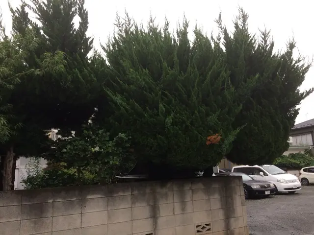 ＜年中無休＞東京都を中心に対応しております。ご要望・ご予算に合わせて丁寧に対応◎サービスの画像