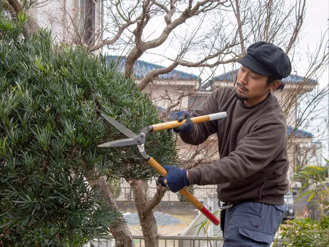 ＜年中無休＞東京都を中心に対応しております。ご要望・ご予算に合わせて丁寧に対応◎サービスの画像