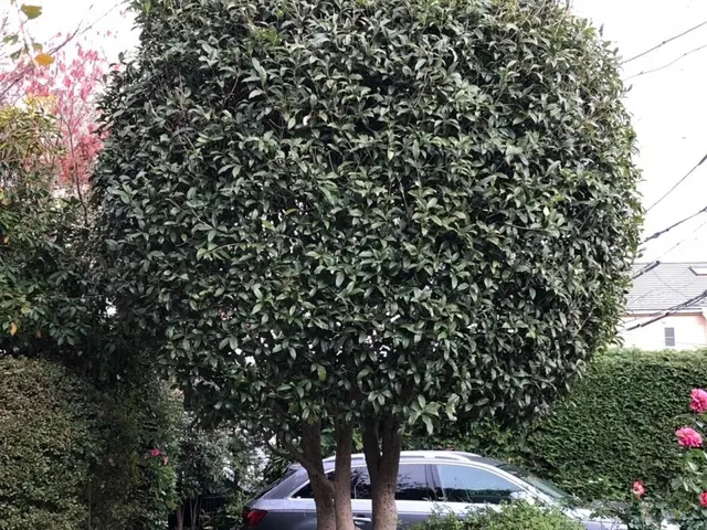 ＜年中無休＞東京都を中心に対応しております。ご要望・ご予算に合わせて丁寧に対応◎サービスの画像