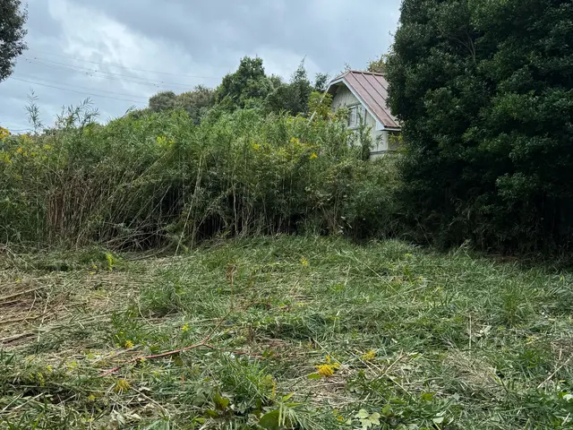 個人宅むけお庭や駐車場、空き地の雑草、草刈り・草むしり・伐採作業でさっぱり綺麗にサービスの画像