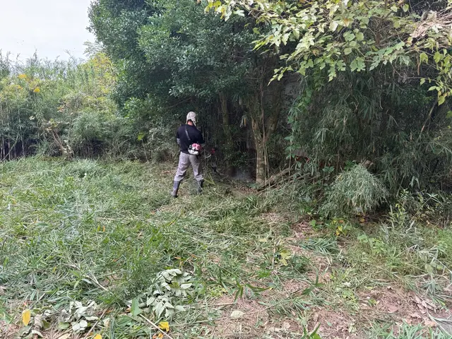 個人宅むけお庭や駐車場、空き地の雑草、草刈り・草むしり・伐採作業でさっぱり綺麗にサービスの画像