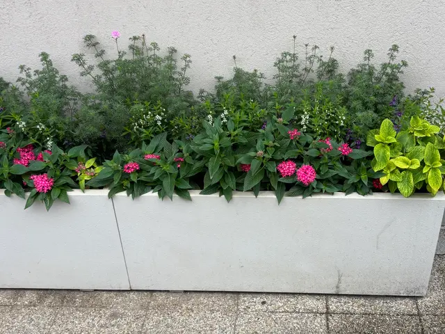 お花、地被類、低木等を植え込んでワンランク上のお庭にします！　植栽経験豊富！サービスの画像