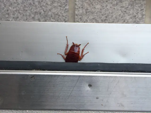 ☆出店5周年キャンペーン☆20%OFF中◯入居前駆除◯★4年連続アワード受賞店★サービスの画像