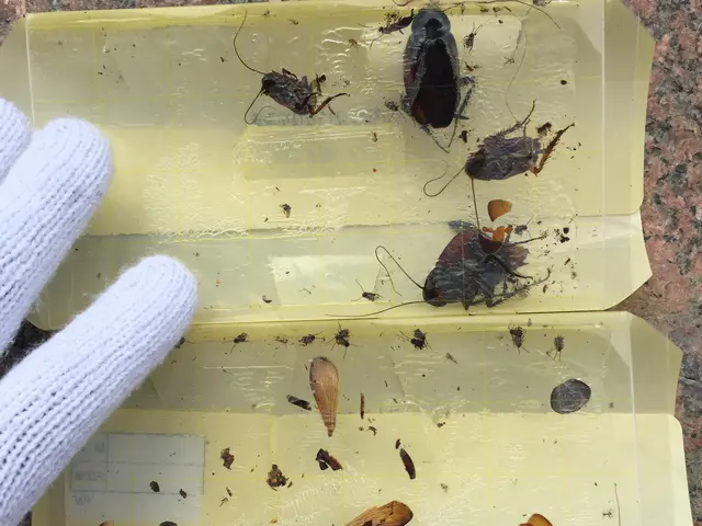 ☆出店5周年キャンペーン☆20%OFF中◯入居前駆除◯★4年連続アワード受賞店★サービスの画像