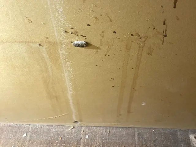 【5年連続受賞】★入居前駆除オススメ★根本的な侵入口封鎖★G専用液体散布★関西サービスの画像