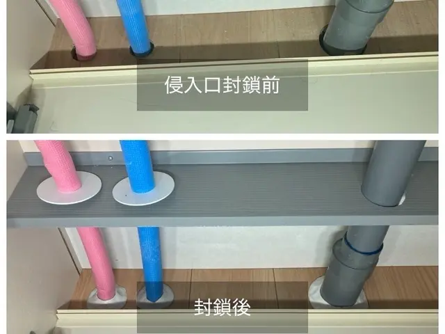 ☆出店5周年キャンペーン☆20%OFF中◯入居前駆除◯★4年連続アワード受賞店★サービスの画像