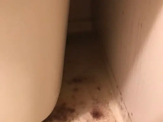 お掃除の質問なんでもOK！気になる事はじゃんじゃん聞いてください^_^サービスの画像