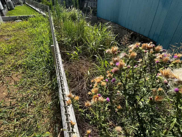 【業歴13年の実績】年中無休◎造園施工管理技士◎アフターフォローも万全サービスの画像