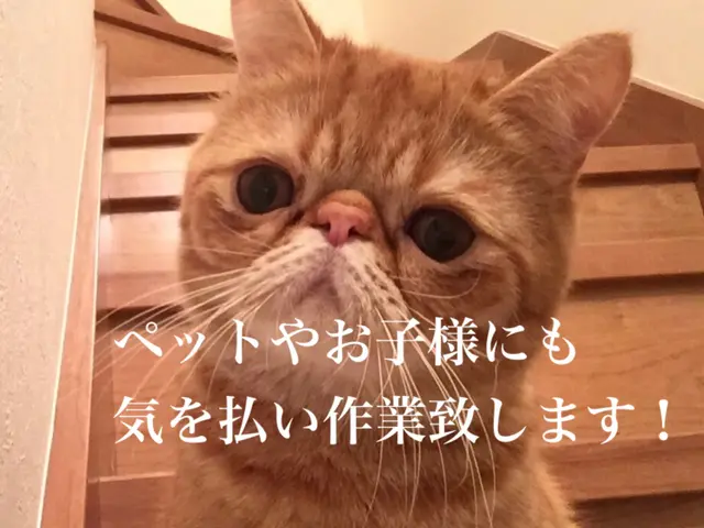 【新学生 新社会人応援！⠀】ベッドや棚など、組み立てのお手伝いします！サービスの画像