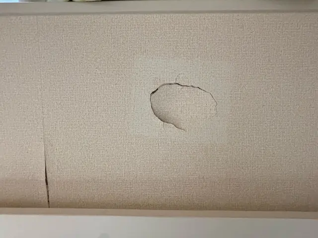 お客様のお力になります！経験と知識を活かして迅速丁寧に作業いたします！サービスの画像