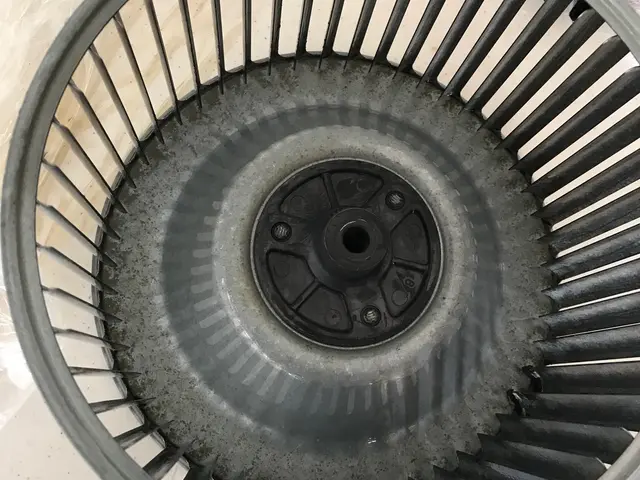 【お客様にご安心いただける丁寧な接客】女性スタッフ同行可能！損害保険加入店サービスの画像