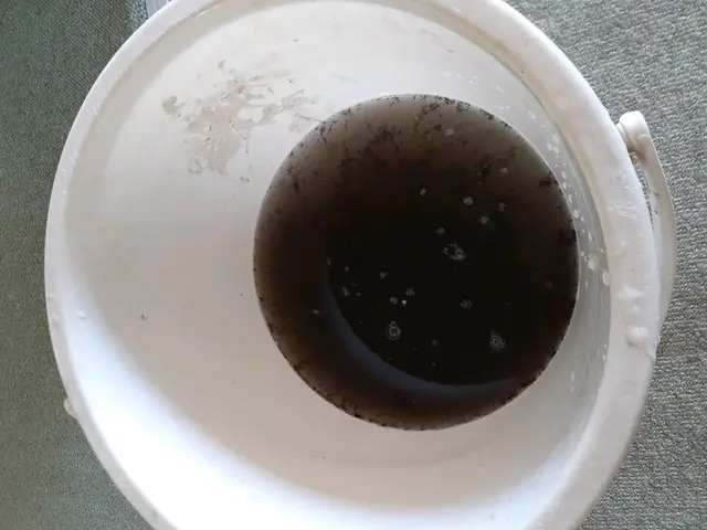 【熊本市北区発】皆さまの笑顔を楽しみに！損害保険加入済みで万が一の場合も安心◎サービスの画像