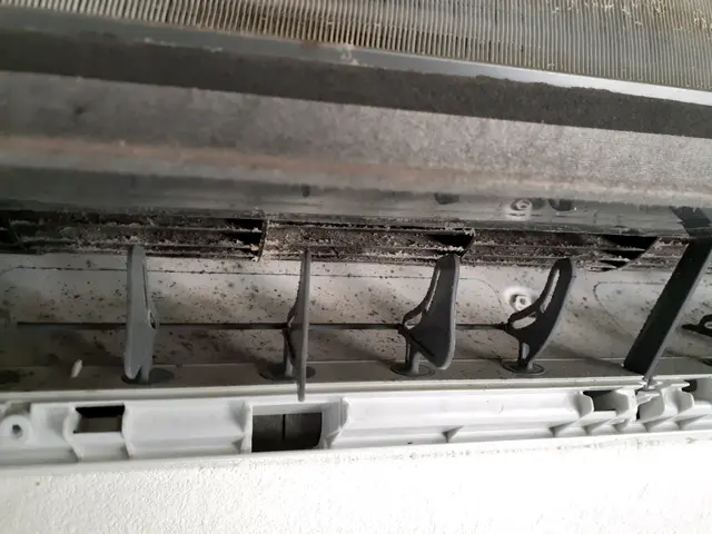 【熊本市北区発】皆さまの笑顔を楽しみに！損害保険加入済みで万が一の場合も安心◎サービスの画像