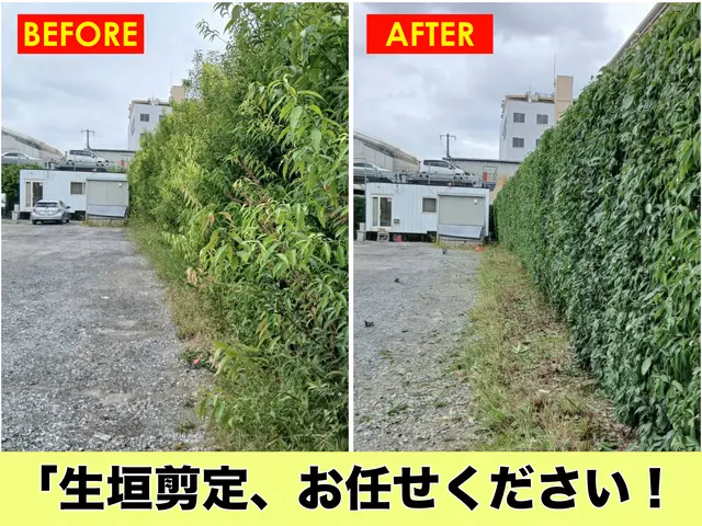 生垣・植え込みお庭をすっきり整える剪定サービス!!サービスの画像