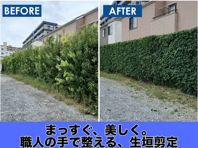 生垣・植え込みお庭をすっきり整える剪定サービス!!サービスの画像